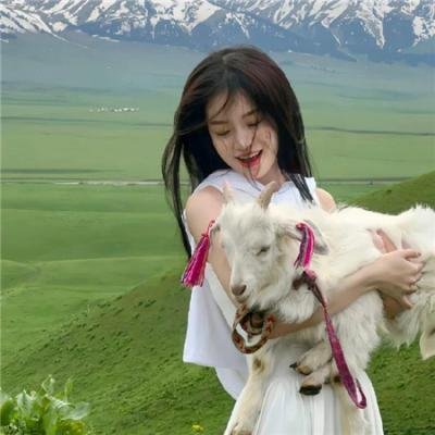 诡八楼 在线观看